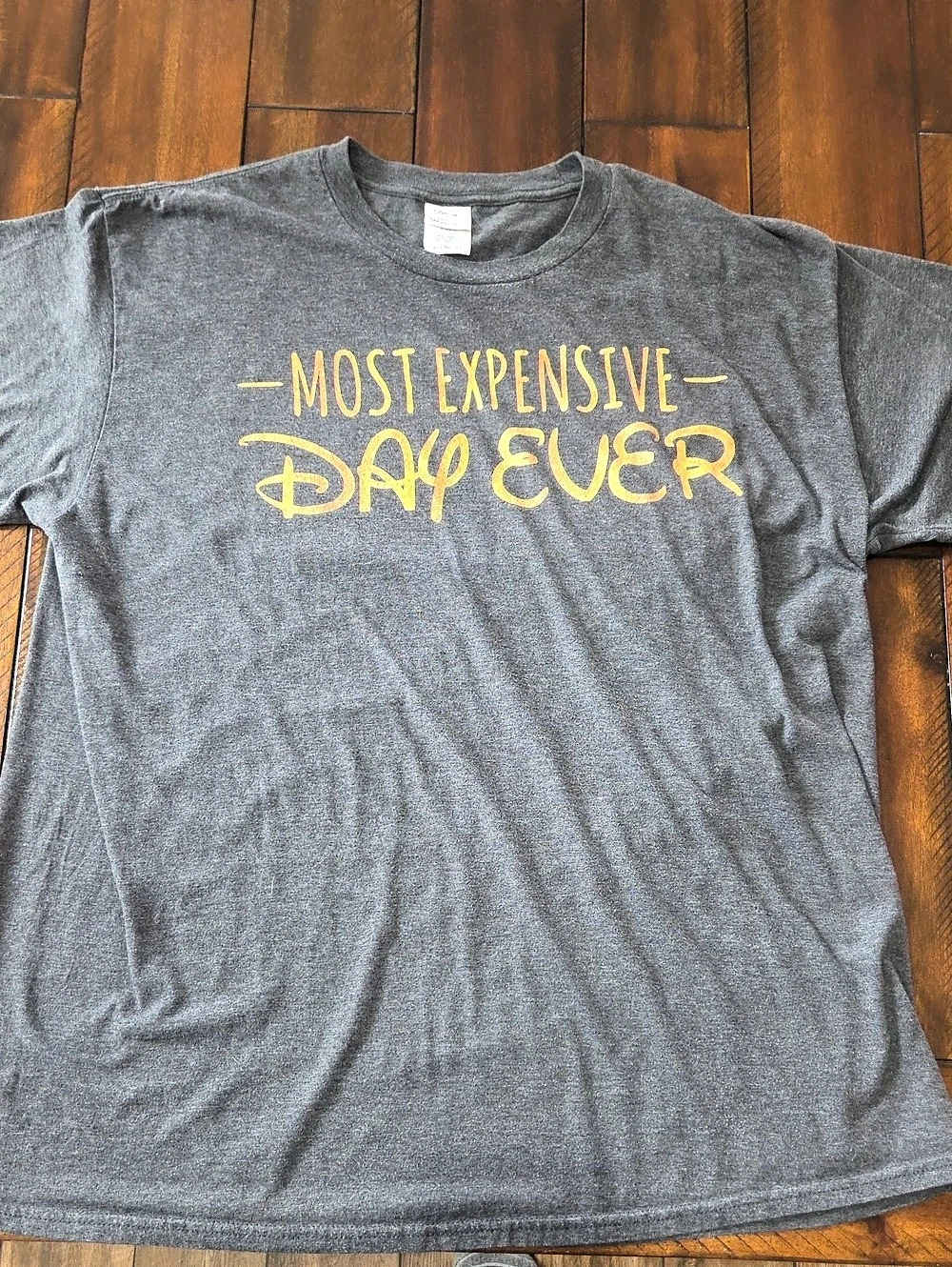 "Most Expensive Day Ever" Graphic Tee in Gray